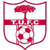 塔林丁联